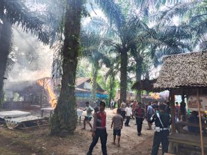 Denpom I/5 Medan dan Polrestabes Razia Arena Sabung Ayam di Pancur Batu, Gubuk Judi Dibongkar dan Dibakar