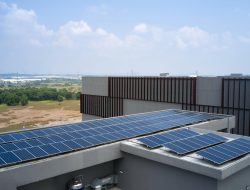 Telkom Pertegas Komitmen Energi Terbarukan di Hari Bumi 2025: Langkah Nyata Menuju Masa Depan Berkelanjutan