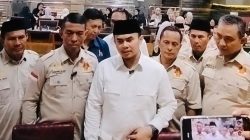 Medan Cuaca Ekstrem, MAI Desak Pemko Audit Total Pohon Rawan Tumbang dan Bentuk Crisis Center Terpadu