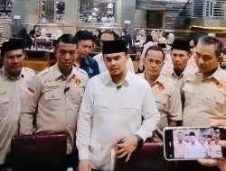 Medan Cuaca Ekstrem, MAI Desak Pemko Audit Total Pohon Rawan Tumbang dan Bentuk Crisis Center Terpadu