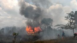 Bareskrim Tetapkan 72 Tersangka Karhutla, Polisi Ungkap Dugaan Pembukaan Lahan Sawit