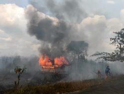 Bareskrim Tetapkan 72 Tersangka Karhutla, Polisi Ungkap Dugaan Pembukaan Lahan Sawit