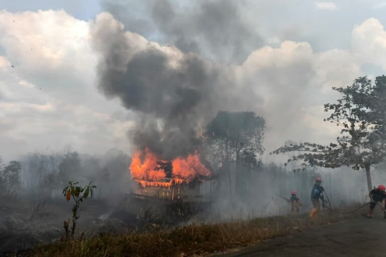 Bareskrim Tetapkan 72 Tersangka Karhutla, Polisi Ungkap Dugaan Pembukaan Lahan Sawit