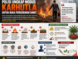 Polisi Ungkap Modus Karhutla: Lahan Dibakar untuk Buka Perkebunan Sawit