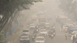 kabut asap